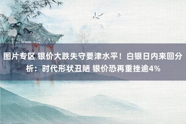 图片专区 银价大跌失守要津水平！白银日内来回分析：时代形状丑陋 银价恐再重挫逾4%