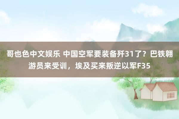 哥也色中文娱乐 中国空军要装备歼31了？巴铁翱游员来受训，埃及买来叛逆以军F35