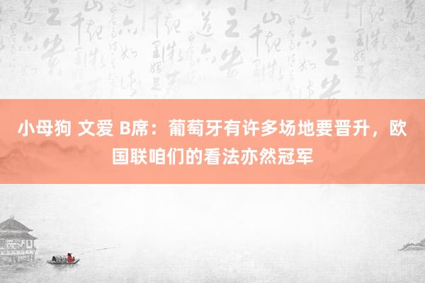 小母狗 文爱 B席：葡萄牙有许多场地要晋升，欧国联咱们的看法亦然冠军
