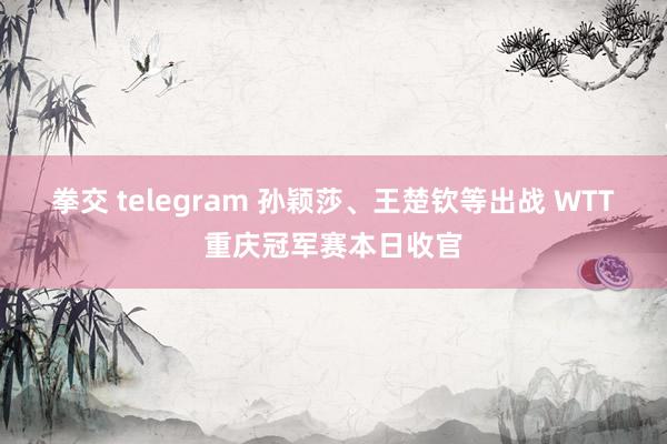 拳交 telegram 孙颖莎、王楚钦等出战 WTT重庆冠军赛本日收官