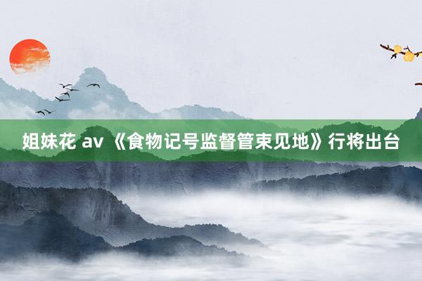 姐妹花 av 《食物记号监督管束见地》行将出台