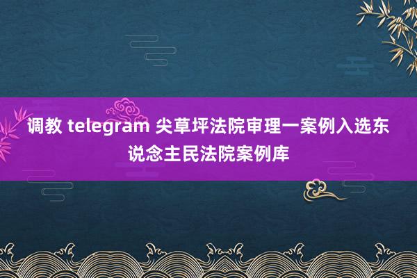 调教 telegram 尖草坪法院审理一案例入选东说念主民法院案例库