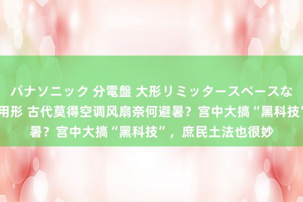 パナソニック 分電盤 大形リミッタースペースなし 露出・半埋込両用形 古代莫得空调风扇奈何避暑？宫中大搞“黑科技”，庶民土法也很妙