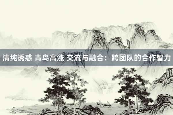 清纯诱惑 青鸟高涨 交流与融合：跨团队的合作智力