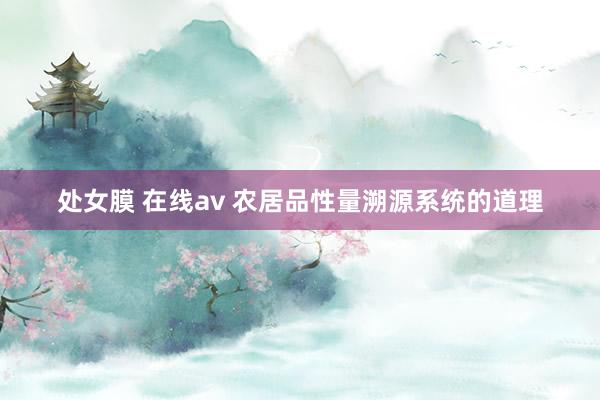 处女膜 在线av 农居品性量溯源系统的道理