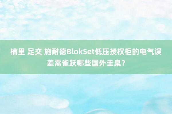 楠里 足交 施耐德BlokSet低压授权柜的电气误差需雀跃哪些国外圭臬？