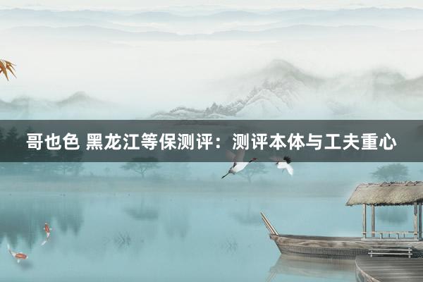哥也色 黑龙江等保测评：测评本体与工夫重心