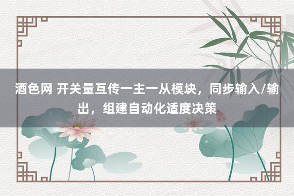 酒色网 开关量互传一主一从模块，同步输入/输出，组建自动化适度决策