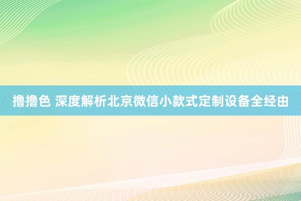 撸撸色 深度解析北京微信小款式定制设备全经由