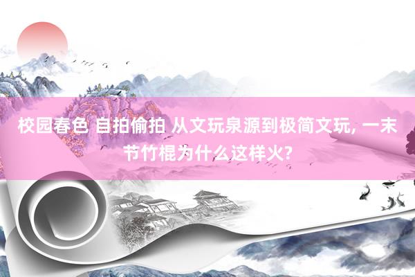 校园春色 自拍偷拍 从文玩泉源到极简文玩, 一末节竹棍为什么这样火?