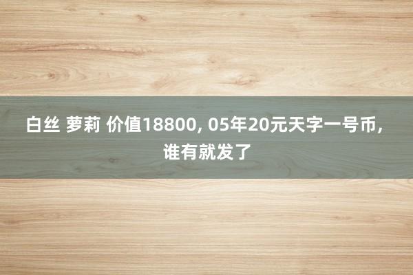 白丝 萝莉 价值18800, 05年20元天字一号币, 谁有就发了