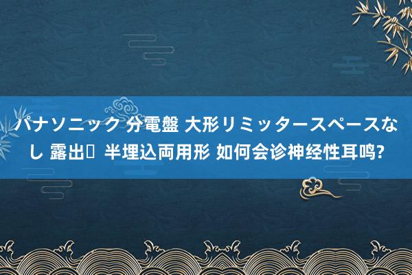 パナソニック 分電盤 大形リミッタースペースなし 露出・半埋込両用形 如何会诊神经性耳鸣?
