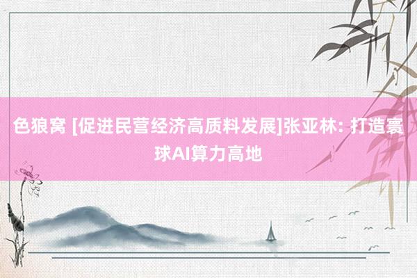 色狼窝 [促进民营经济高质料发展]张亚林: 打造寰球AI算力高地
