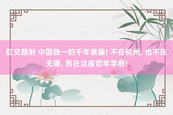 肛交颜射 中国独一的千年紫藤! 不在杭州, 也不在无锡, 而在这座百年学府!