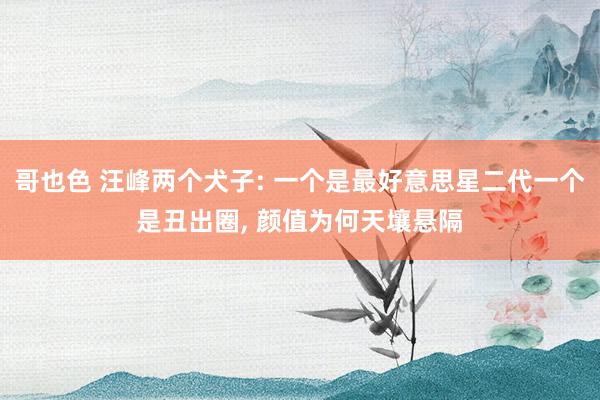 哥也色 汪峰两个犬子: 一个是最好意思星二代一个是丑出圈, 颜值为何天壤悬隔