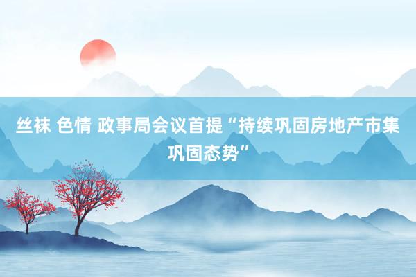 丝袜 色情 政事局会议首提“持续巩固房地产市集巩固态势”
