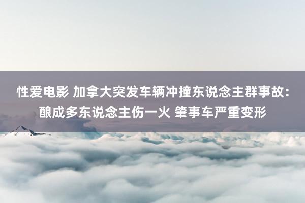 性爱电影 加拿大突发车辆冲撞东说念主群事故：酿成多东说念主伤一火 肇事车严重变形