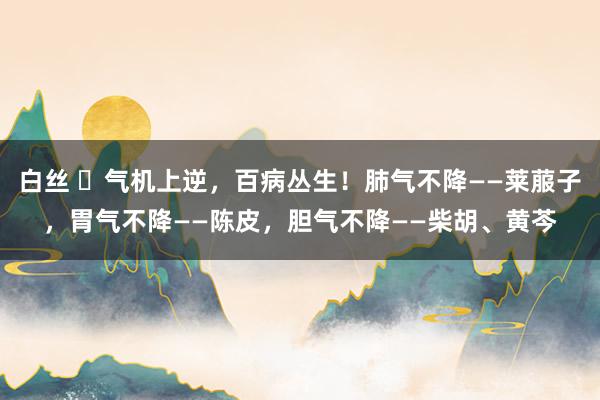 白丝 ​气机上逆，百病丛生！肺气不降——莱菔子，胃气不降——陈皮，胆气不降——柴胡、黄芩