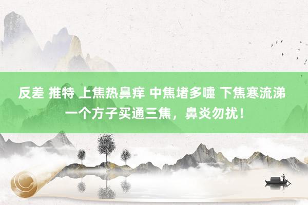 反差 推特 上焦热鼻痒 中焦堵多嚏 下焦寒流涕 一个方子买通三焦，鼻炎勿扰！