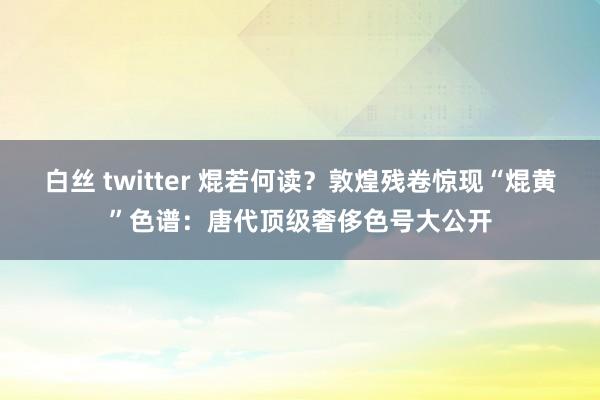 白丝 twitter 焜若何读？敦煌残卷惊现“焜黄”色谱：唐代顶级奢侈色号大公开